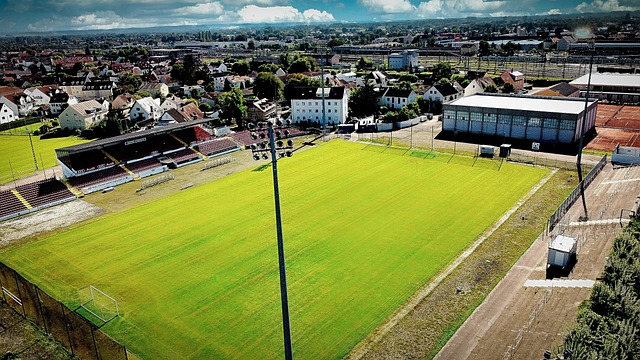 的进行中 的进行中