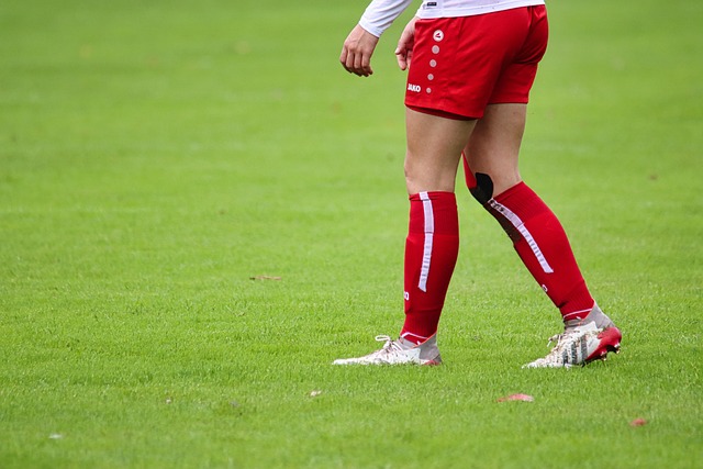 莱万和科曼 莱万和科曼