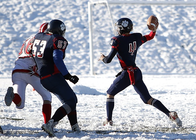 阿森纳管理 阿森纳管理