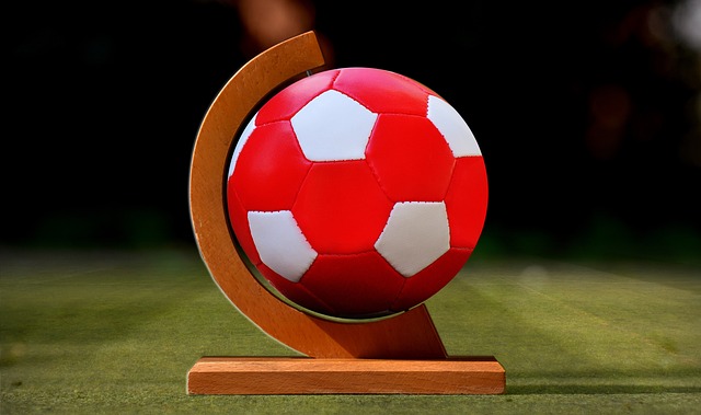 的安全与公 的安全与公